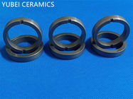 SSiC Silicon Carbide Gasket Ring , 400GPa Mechanical Industrial Seal Rings